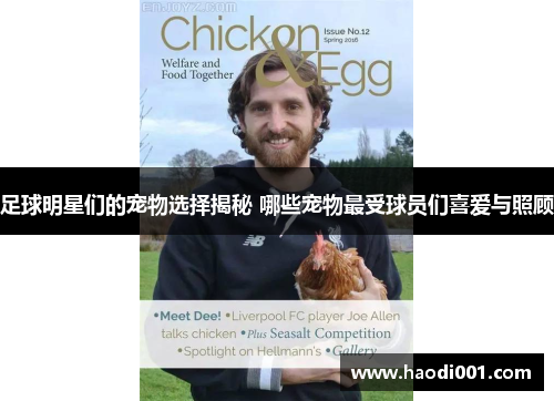 足球明星们的宠物选择揭秘 哪些宠物最受球员们喜爱与照顾