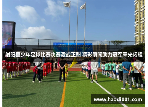射阳县少年足球比赛决赛激战正酣 精彩瞬间助力冠军荣光闪耀